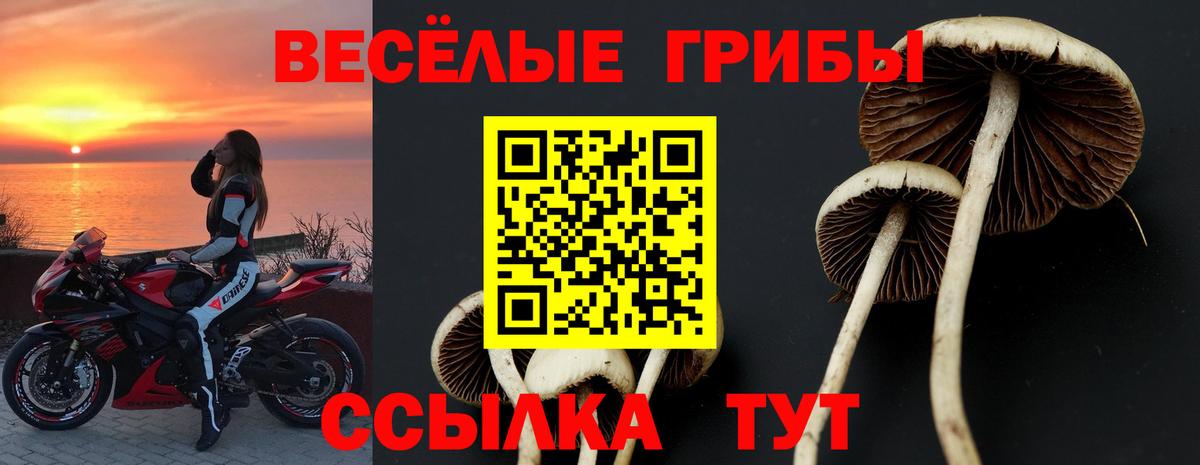 Псилоцибиновые грибы Magic Shrooms Миллерово
